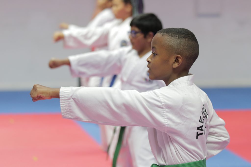 Taekwon-Do Training